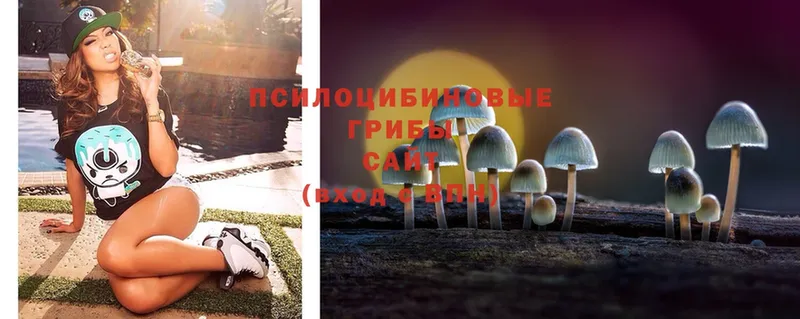 Галлюциногенные грибы Magic Shrooms  Донецк 